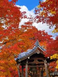 京都紅葉季最不能錯過的地方—常寂光寺