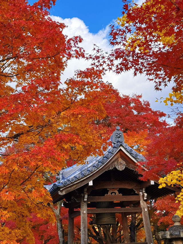 京都紅葉季最不能錯過的地方—常寂光寺