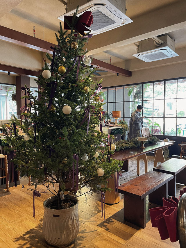 深圳｜再冷的聖誕節也要去的幾間店