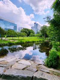 波士頓公園 | 四季如畫的自由之路起點 