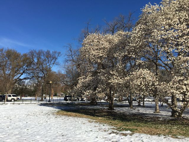 雪後的普林斯頓仿如歐洲小鎮