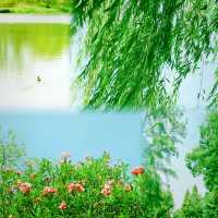 蕪湖遛娃神山公園最新完整攻略
