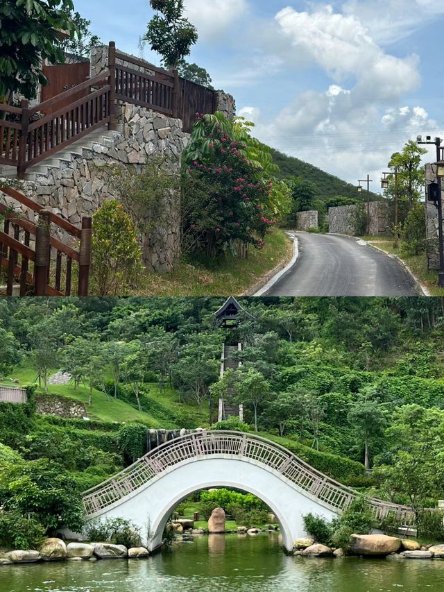 茂名信宜｜山水雙合的李花谷