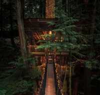 Explore the Iconic Capilano Suspension Bridge Park in Vancouver