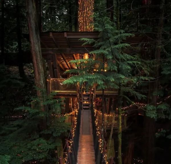 Explore the Iconic Capilano Suspension Bridge Park in Vancouver