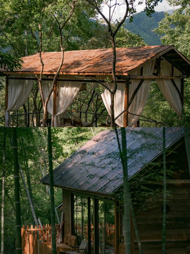 找到了山林裡的秘密基地
