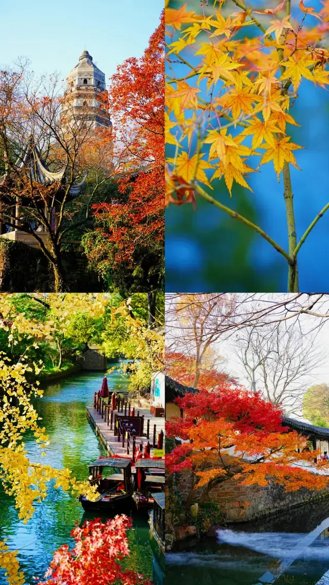 Poetic Jiangnan | Meet Suzhou