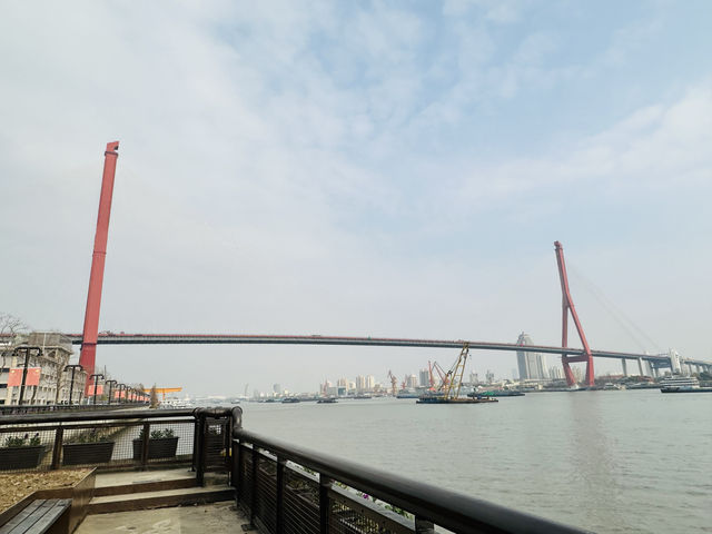 楊浦濱江冬日遊