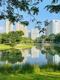 被這個公園治癒…周末遛娃 散步必逛四海公園