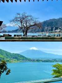 別糾結了，富士山快選kukuna即可！