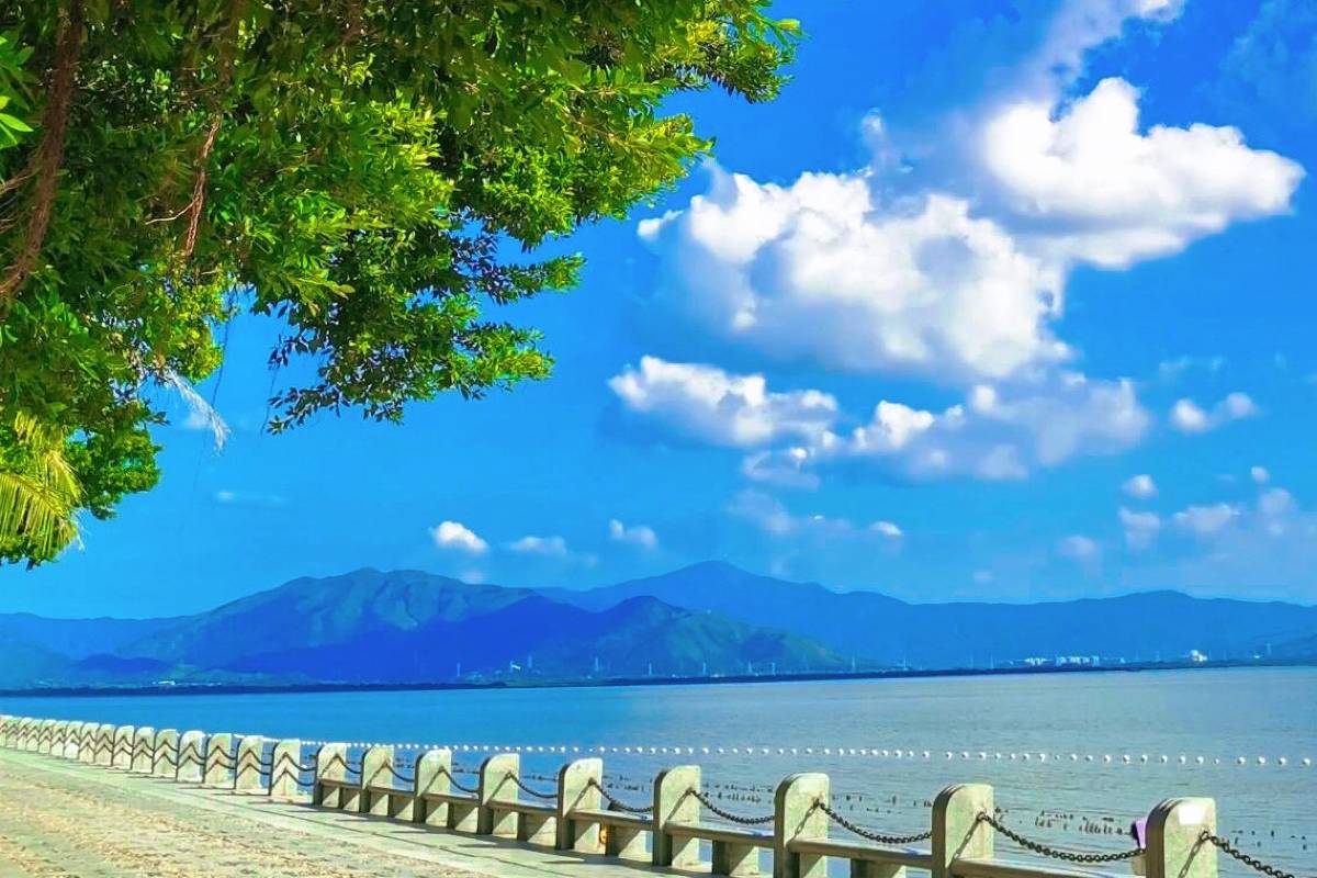 在住者がおすすめ！深圳でやりたいことTOP3