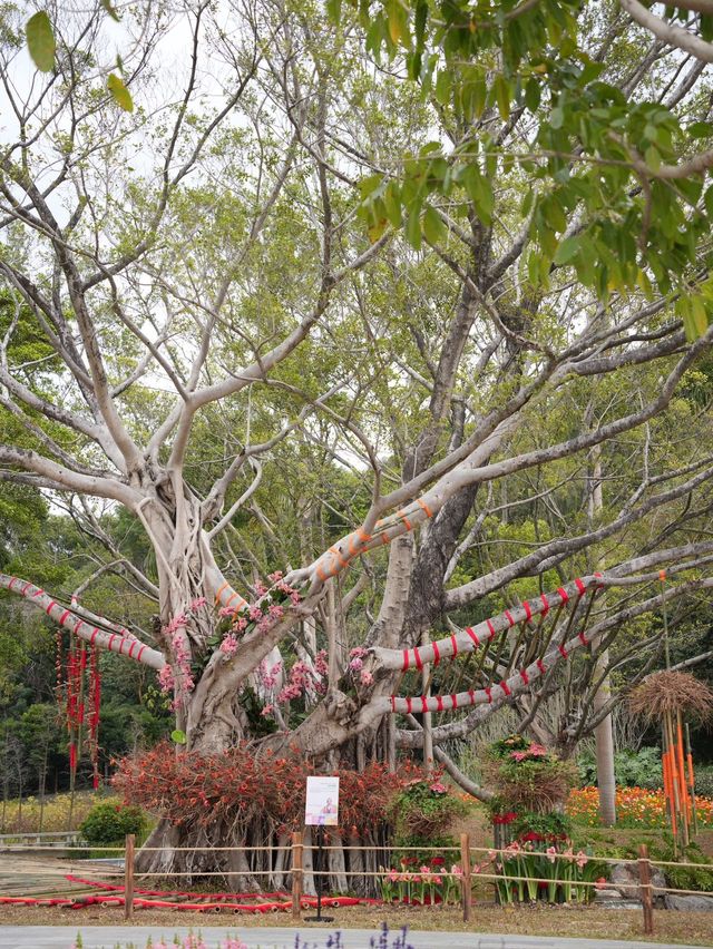 春節小眾寶藏地｜附廣州園林博覽會遊覽攻略
