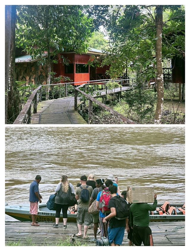 探秘山打根，邂逅雨林深處的奇妙之旅。