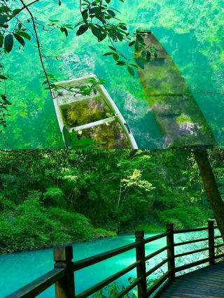 張家界已回，說點大實話