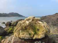 虎威島