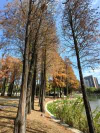 四海公園