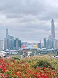 春天嘅故事，深圳必打卡之蓮花山