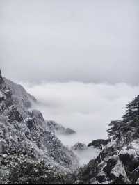 今天的雲海真的很美很美