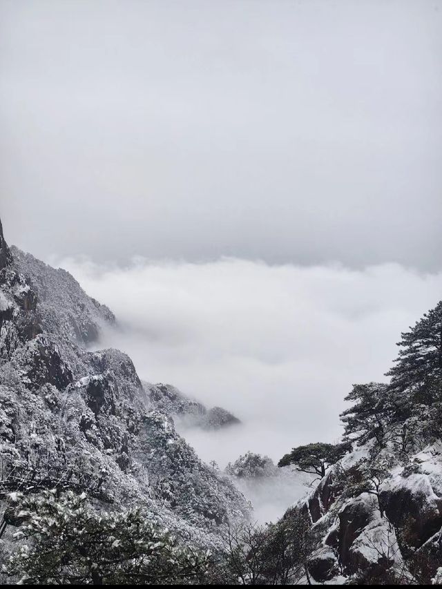 今天的雲海真的很美很美