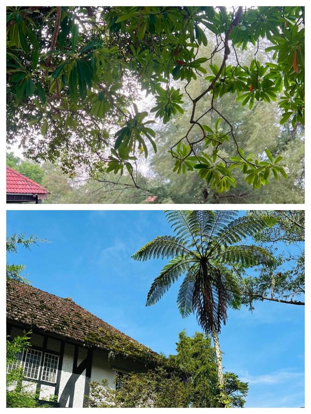 探索馬來西亞勿述縣之旅