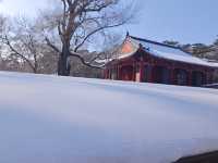 歷史與自然於此完美交融~~東陵公園