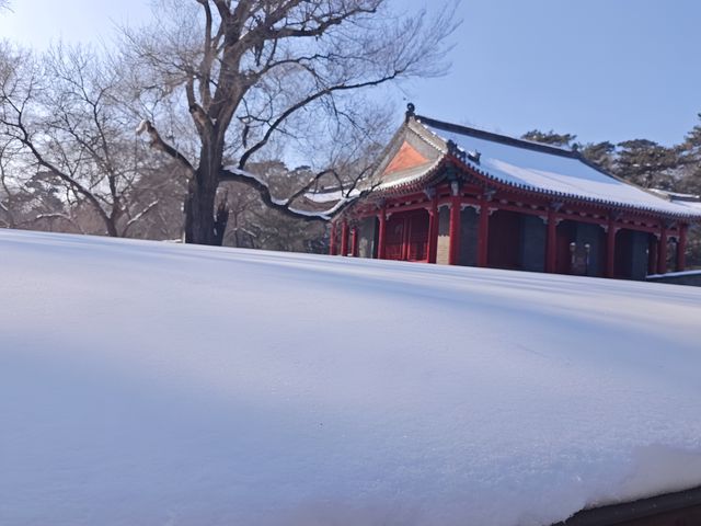 歷史與自然於此完美交融~~東陵公園