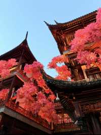 夜上海豫園打卡攻略 如歌的旅程