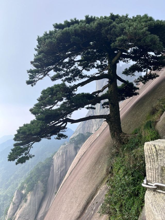 2日丹江口遊 讀我就等於走了一遍