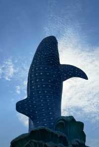 珠海旅遊攻略，解鎖海濱城市浪漫密碼