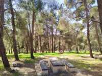 Discovering Amman National Park: A Peaceful Escape in the City🌳🌴