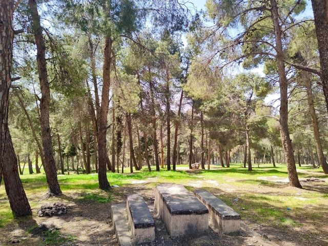 Discovering Amman National Park: A Peaceful Escape in the City🌳🌴