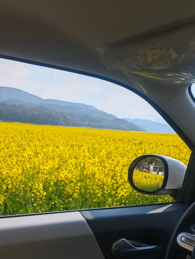 Inadvertently stumbled into Van Gogh's oil painting
