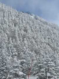 新年旅行第一站，志賀高原滑雪全攻略