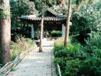 Exploring Wenzhou Secrets as Visa Free Transit Visitor: Now Even More Convinient
