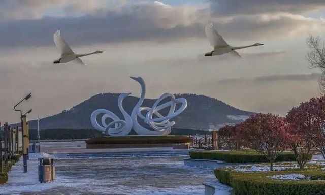 煙墩角大天鵝