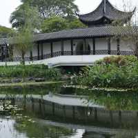 比起雲台花園🌸更愛廣州古風庭院繡球花海