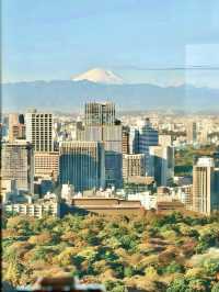 都市靜謐，品味優雅——東京丸之內四季酒店