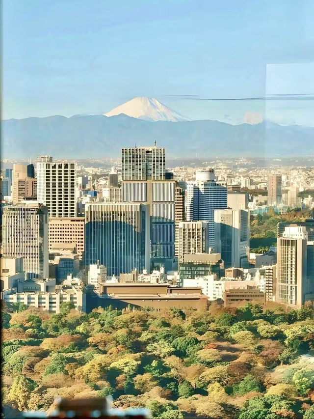 都市靜謐，品味優雅——東京丸之內四季酒店