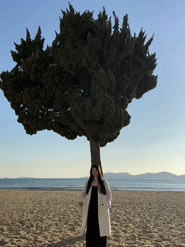 Qingdao Travel Guide: The Ultimate Guide to Exploring Qingdao!