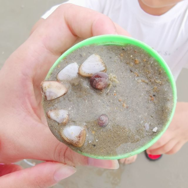 奔赴海口沙灘，擁抱湛藍大海與金色暖陽