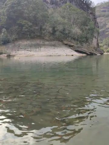 Wuyi Mountain Two-Day Trip