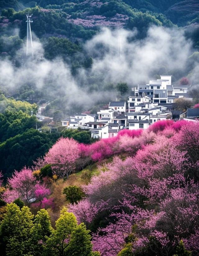 倒計時！這個梅花古村即將美到封神
