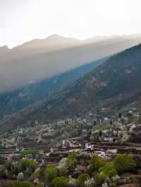 丹巴梨花 | 錯過等一年的川西絕景，這份指南請收藏