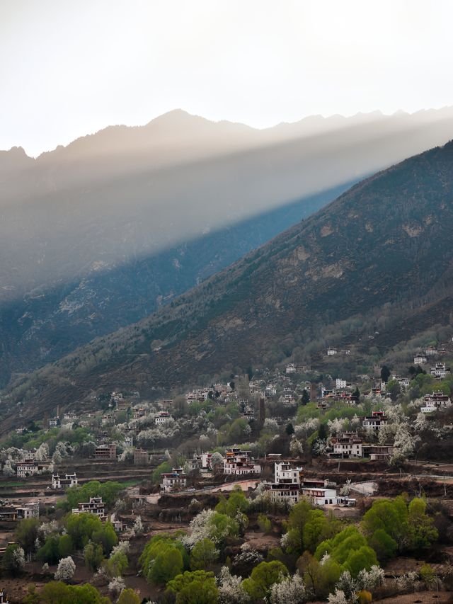 丹巴梨花 | 錯過等一年的川西絕景，這份指南請收藏