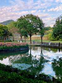 深圳最適合帶小朋友捉魚釣魚的公園