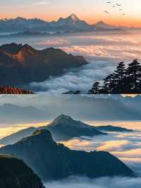 全世界最野觀雲海景點一牛背山
