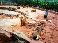 Nanning Zoo: Make The Visit Day To Be A Day of Joy