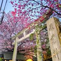 東京最隱秘神社，鬼滅粉必打卡！藏前神社！