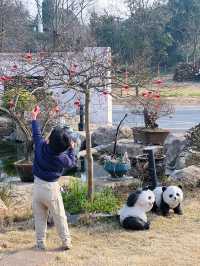 安吉｜發現一間很少人知道的親子泡湯民宿