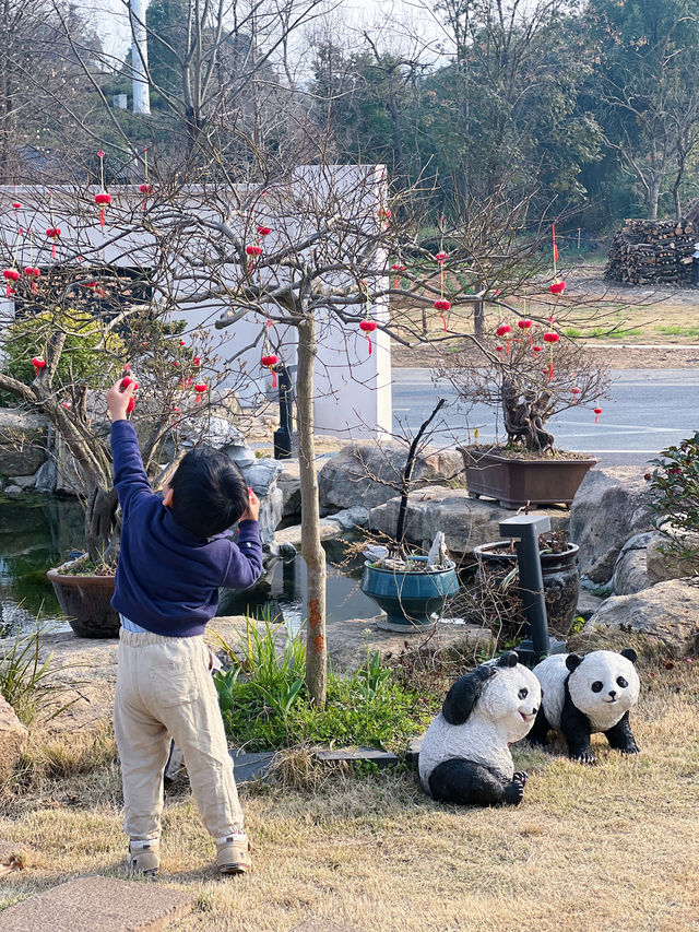 安吉｜發現一間很少人知道的親子泡湯民宿